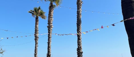 Playa