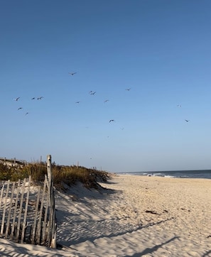 Una spiaggia nelle vicinanze, lettini da mare