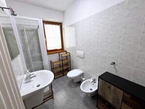 Shower, hair dryer, bidet, towels