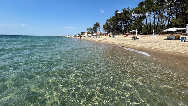 Una spiaggia con acque cristalline, ombrelloni e alberi.