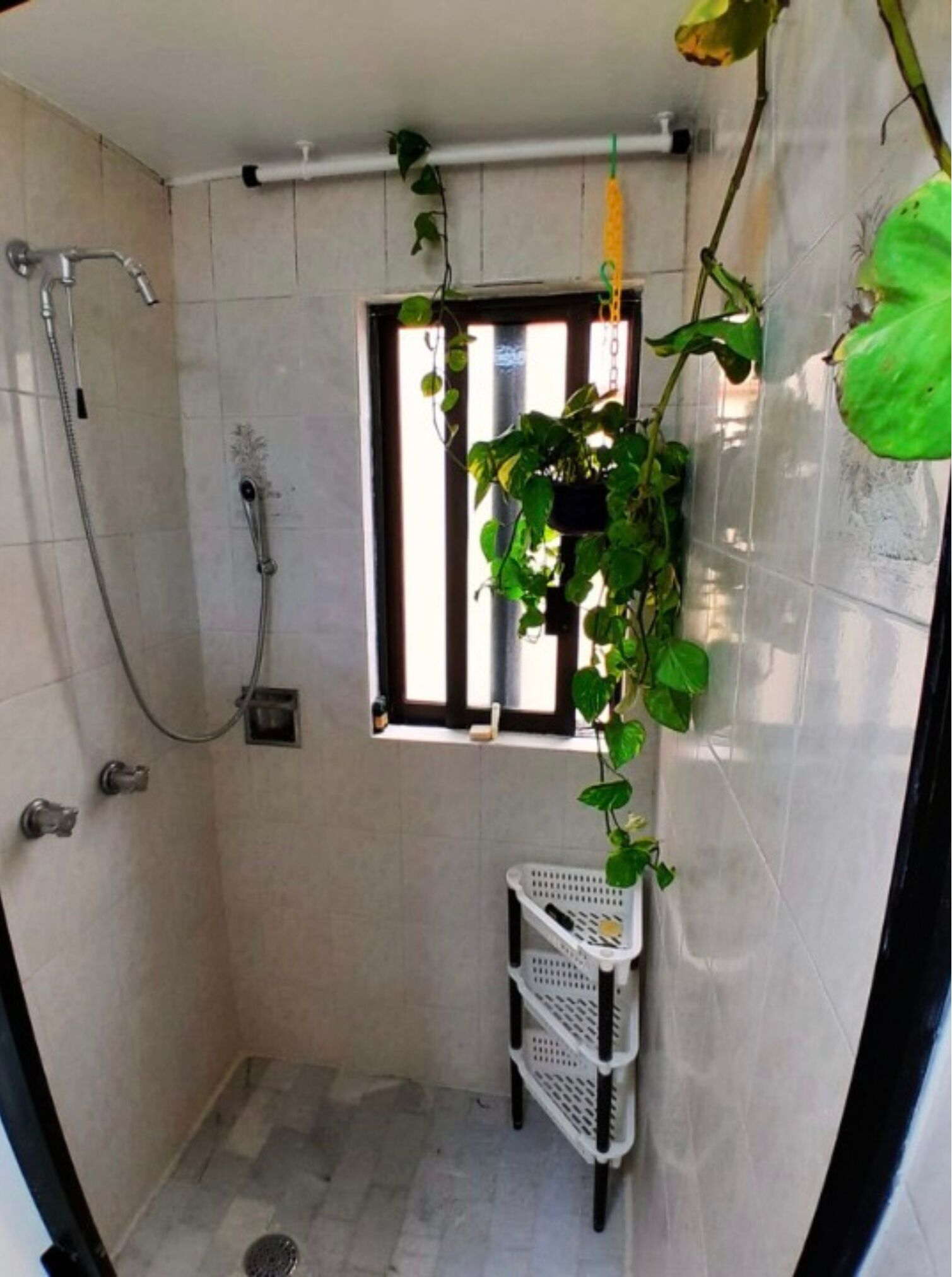 Regadera, toallas, jabón, papel de baño 