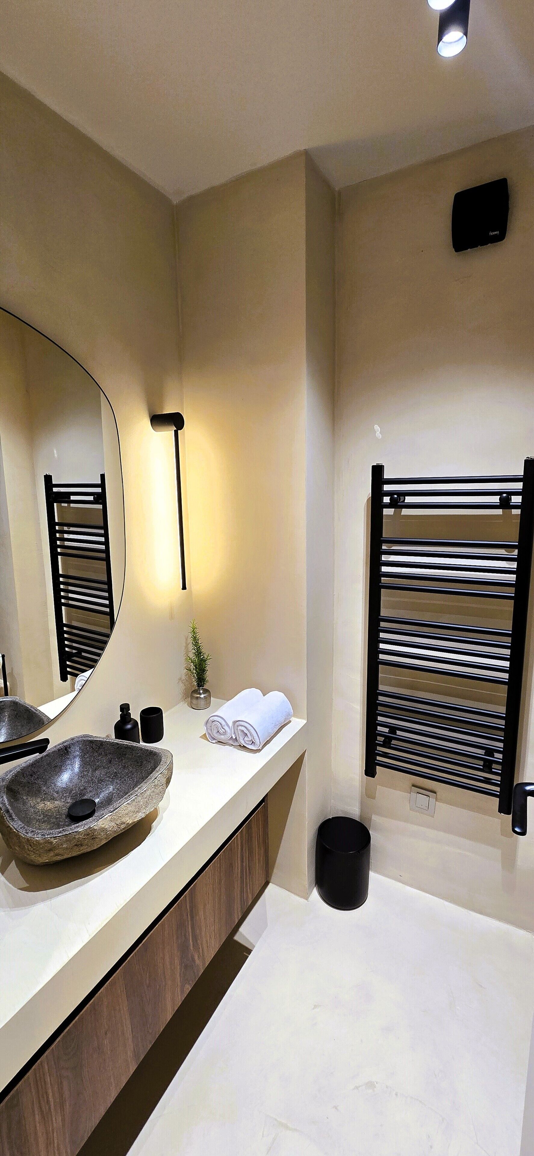 Un baño moderno con un espejo grande, un lavamanos de piedra, un perchero y una planta pequeña.