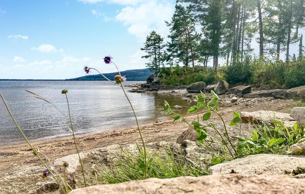 Fiskeri
