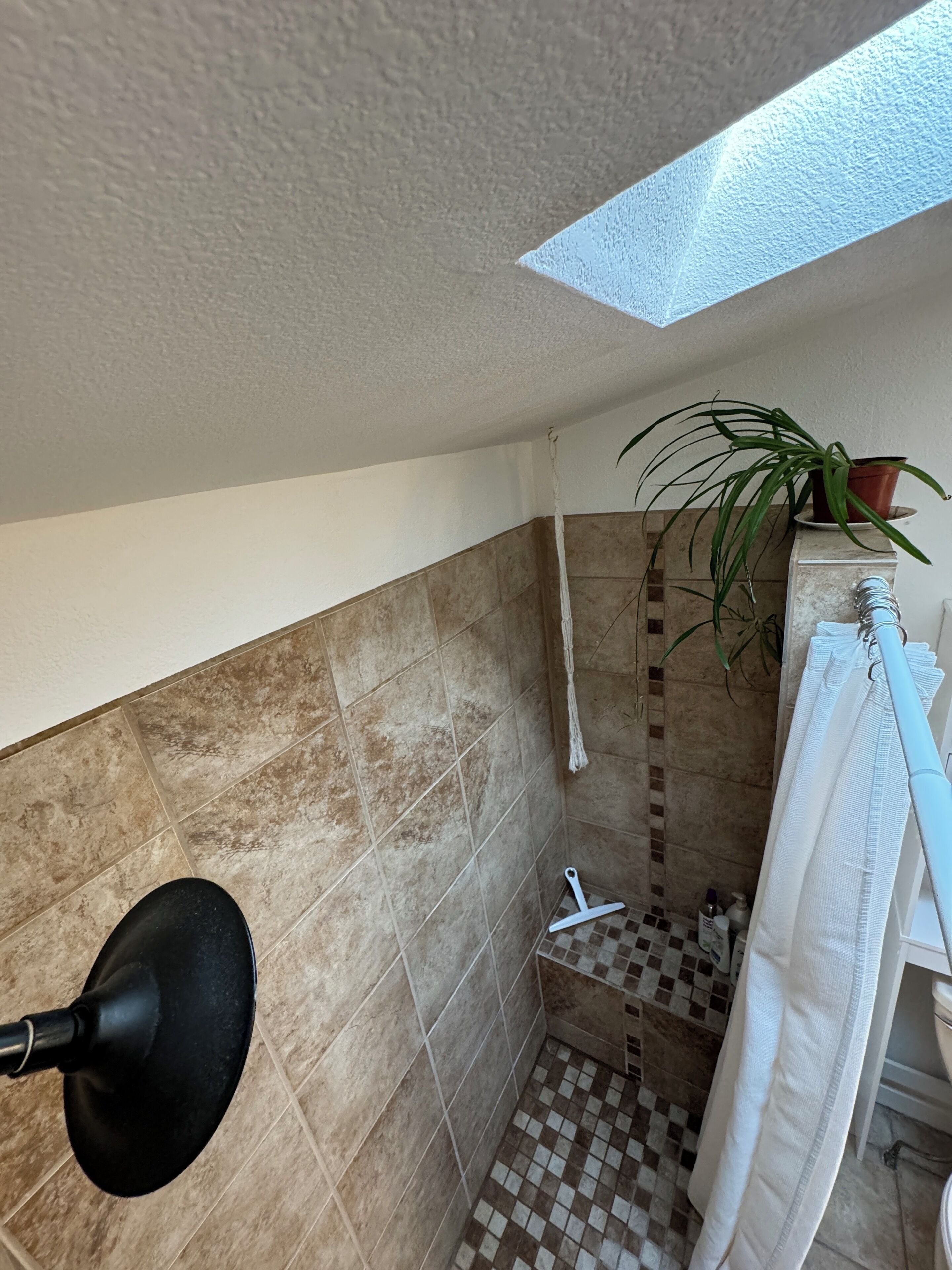 Ein Badezimmer mit Dachfenster, einer Topfpflanze, einer Dusche und einem Schachbrettfußboden.