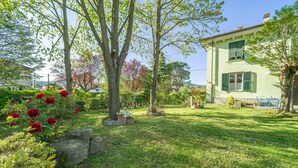 Ein Garten mit einem Haus, Bäumen und einer Rasenfläche.