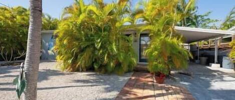 A pathway leading to a building surrounded by palm trees.