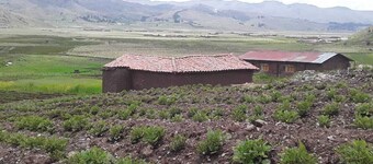 Charming Rural House in Yanaoca