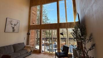 Televisión y chimenea