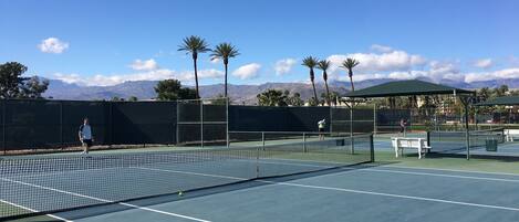 Sport court