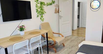 Grunwald Spacious Apartment