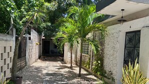A narrow pathway leading to a building with a gated entrance, surrounded by greenery and potted plants. - Private, practical room for longer stays (Chetumal)