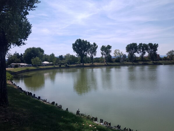 A calm lake with trees and a grassy area.