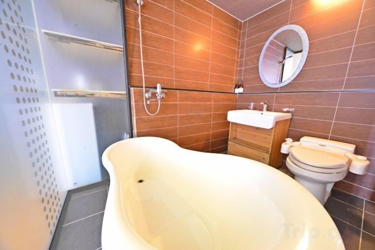 Baño | Secador de pelo, toallas, champú y papel higiénico