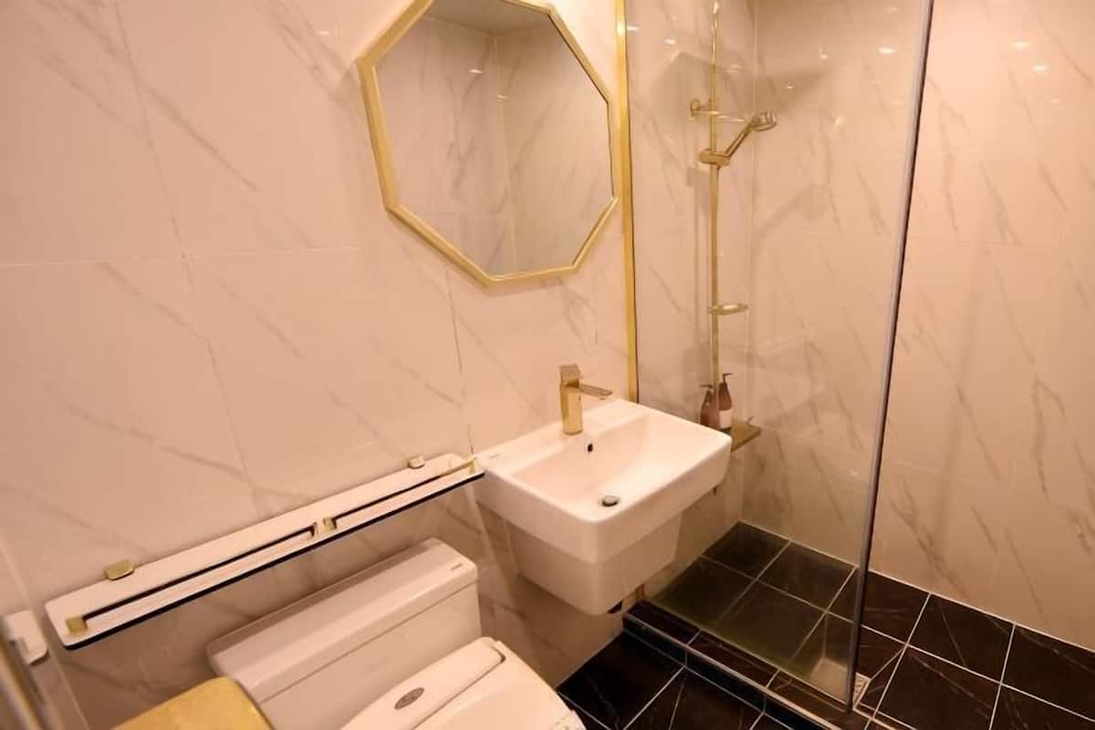 Hair dryer, towels, shampoo, toilet paper