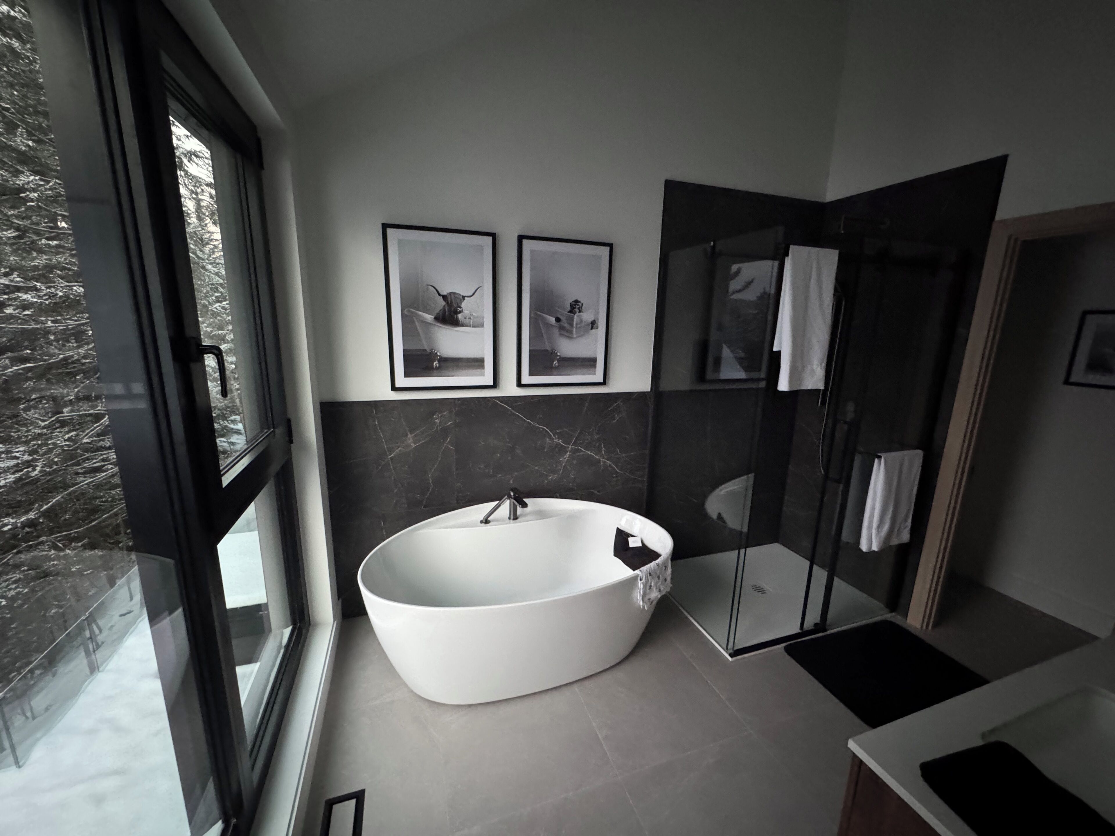 Une salle de bain moderne avec une baignoire sur pieds, une douche en verre et deux tableaux encadrés au mur.