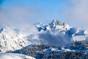 A snow-covered mountain landscape with a prominent peak, dense forested areas, and a valley. - Haus H Mmerle mit Ski in - Ski out (Damüls)