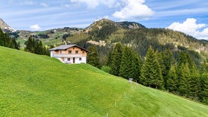 Una casa en una ladera con vistas a una montaña boscosa.