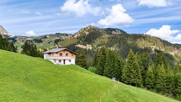 House, Smoking