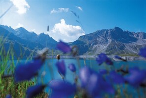 Ett bergigt landskap med en sjö och berg i bakgrunden.