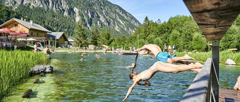 Apartment, Smoking | 1 bedroom