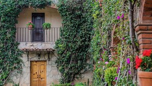 Un bâtiment rustique avec une façade en pierre, une porte en bois et un balcon agrémenté de plantes en pot.
