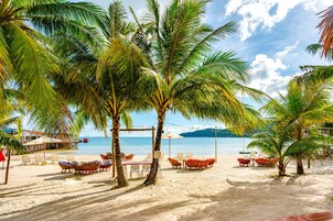 Una playa con palmeras, sillas de descanso y una vista despejada del mar.