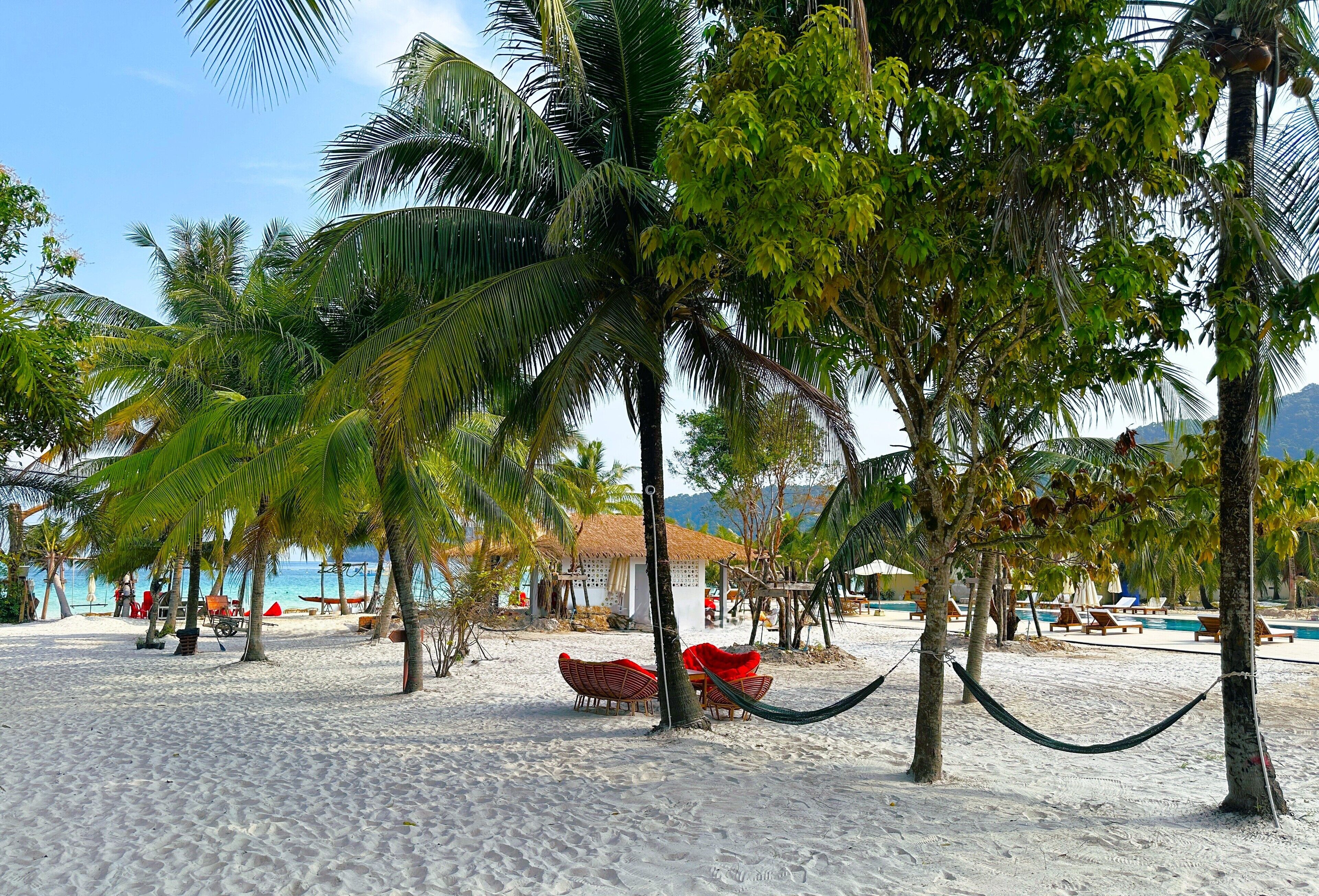Una playa con palmeras, una hamaca y sillas de descanso.