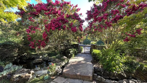 A stone pathway leading through a garden with blooming pink bougainvillea trees and a small pond. - Upscale Rustic Tuscan Villa with Pool in Wine Country (Petaluma)