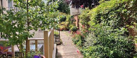 Terrain de l’hébergement