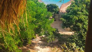 Vista desde una estructura de techo de paja con vistas a una playa de aguas azules y abundante vegetación.