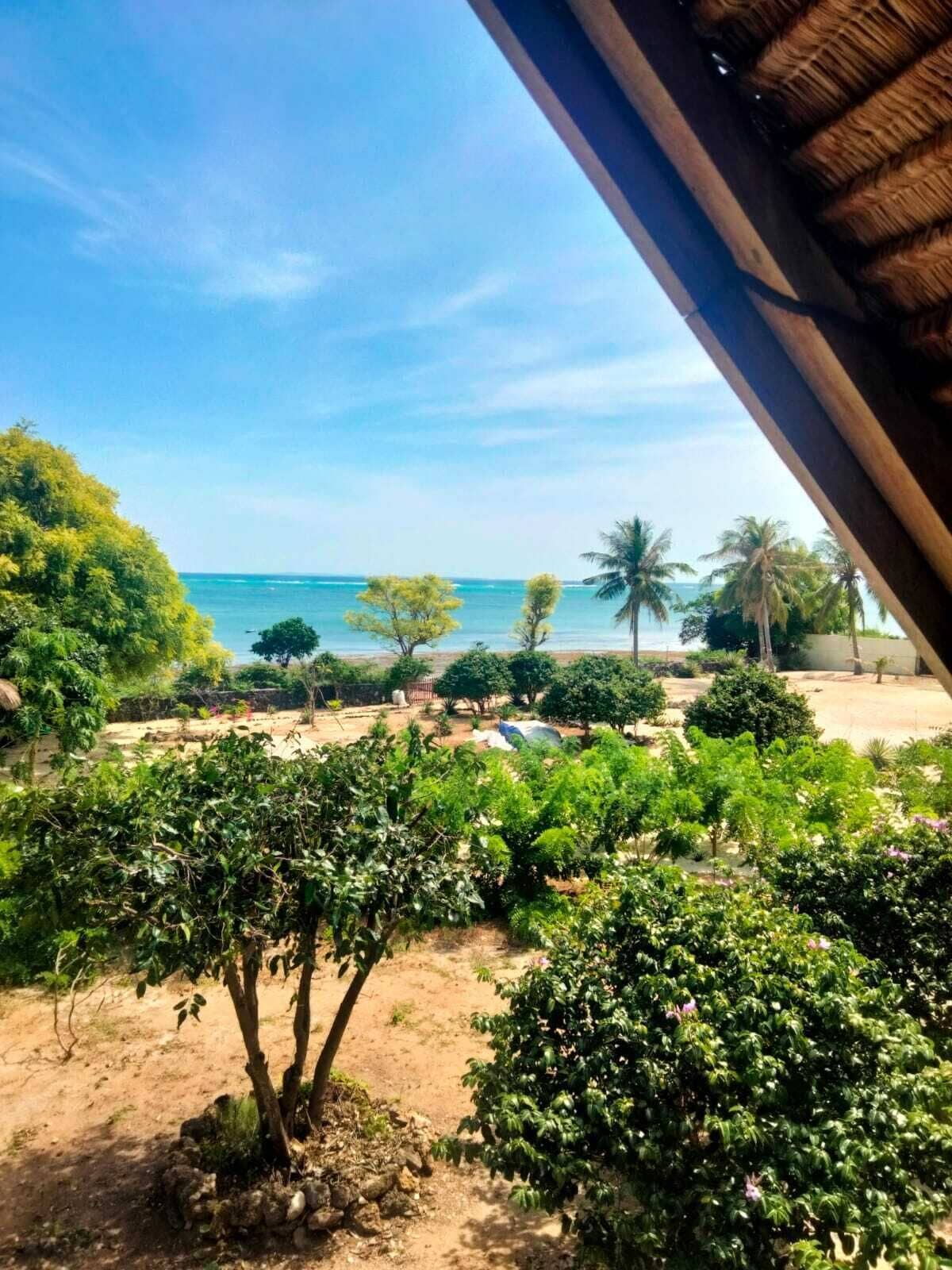 Comfort Tree House, Beach View | Terrace/patio