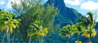 BORA BORA BLUE LAGOON APARTMENT