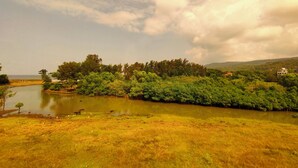 Vista dalla camera