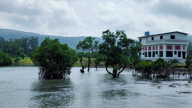Un edificio parzialmente sommerso dall'acqua, circondato da alberi.