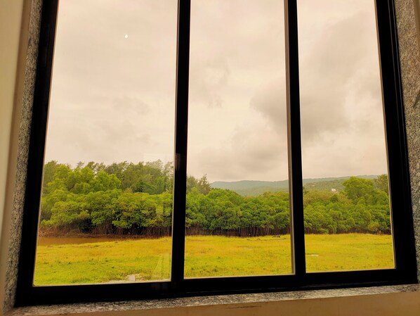 Ein Fenster mit Blick auf ein grasbewachsenes Feld und dichte Baumreihen unter einem bewölkten Himmel.