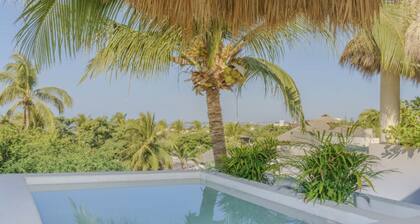 La Punta Beach Front Penthouse Oasis Starlink