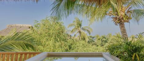 المنطقة المحيطة بالمنشأة