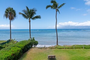 A coastal view with palm trees, a grassy area, and a bench.