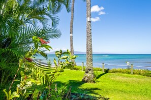 Un jardín tropical con palmeras y vista al océano.