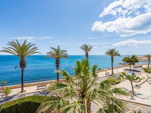 Una passeggiata costiera con palme, un sentiero in pietra e vista sul mare.