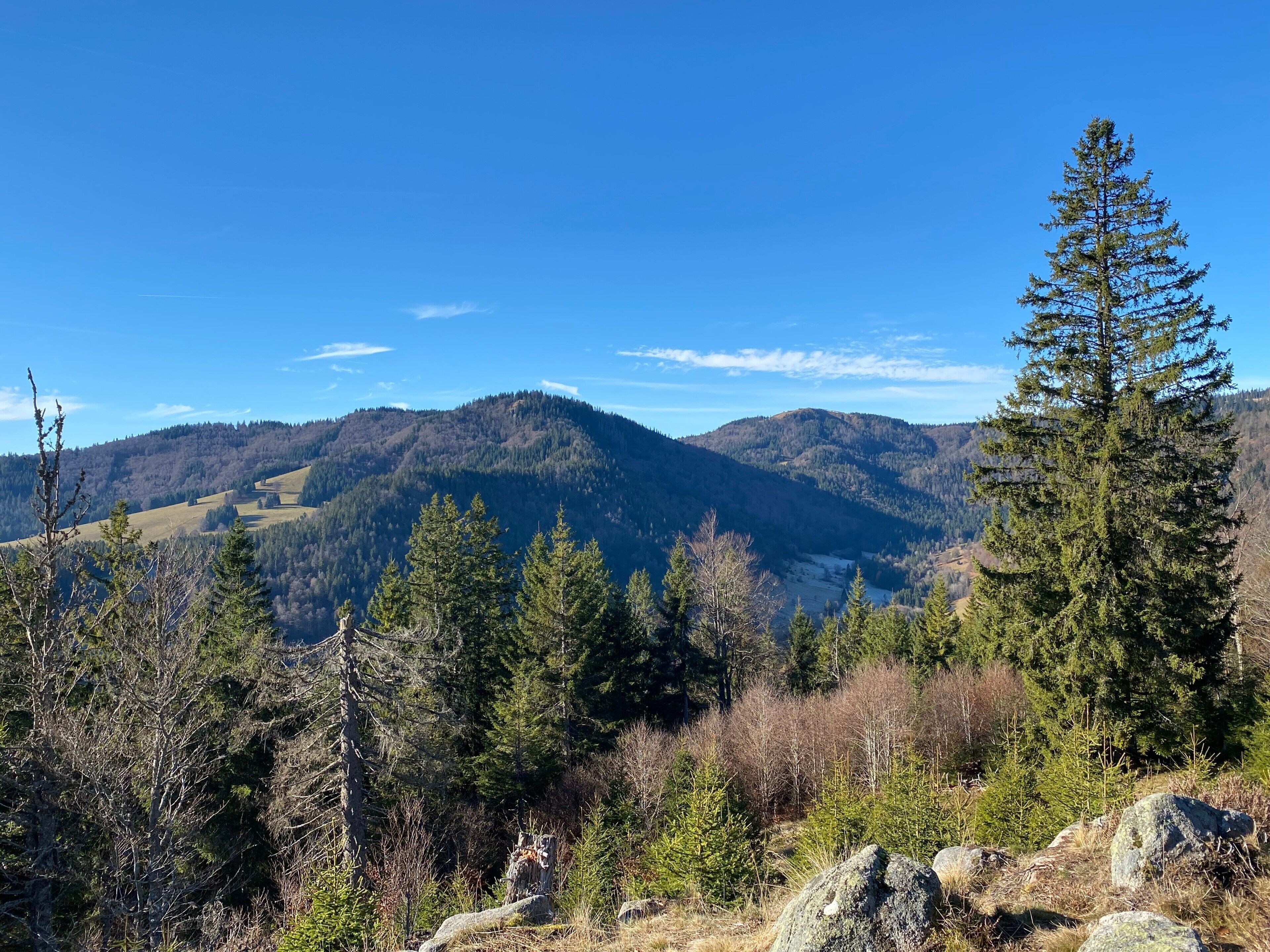 A mountainous landscape with dense forests and a clear sky.