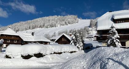 Ferienwohnung 'Am Blaubeerhang' mit Bergblick, privater Terrasse und Wi-Fi