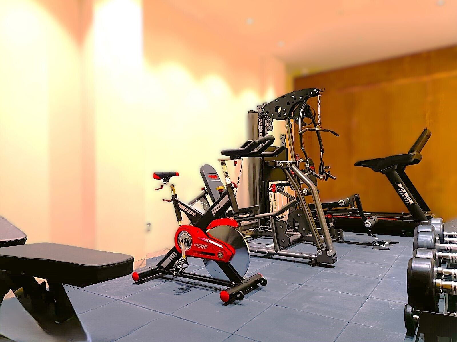 Un gimnasio con máquinas de cardio, equipo de levantamiento de pesas y una banca.