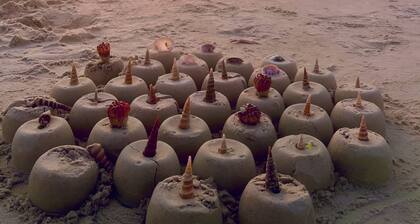 Shore & More : Charming 2-bedroom apartment with AC, WiFi in tranquil Benaulim