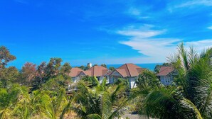 Un quartier résidentiel situé sur la côte, avec des maisons et une végétation luxuriante.
