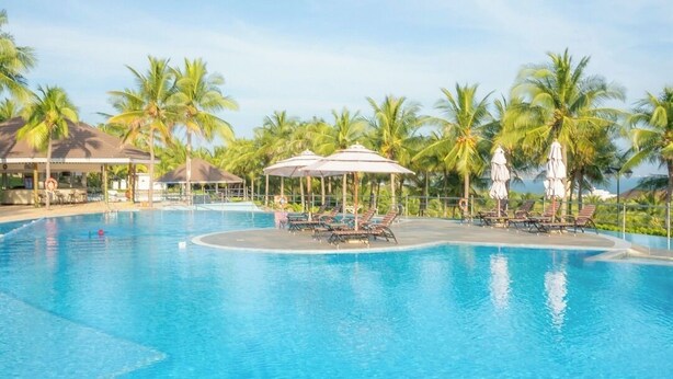Une piscine d’un bleu éclatant, bordée de chaises longues et d’ombrelles, et entourée de palmiers.