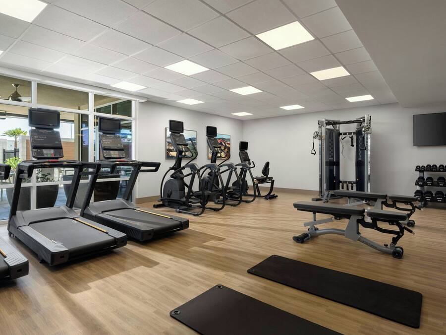 Un gimnasio con cintas de correr, elípticas, un banco de pesas y una estructura para sentadillas.