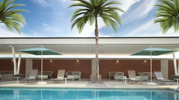 A poolside area with lounge chairs and umbrellas, palm trees, and a clear sky.