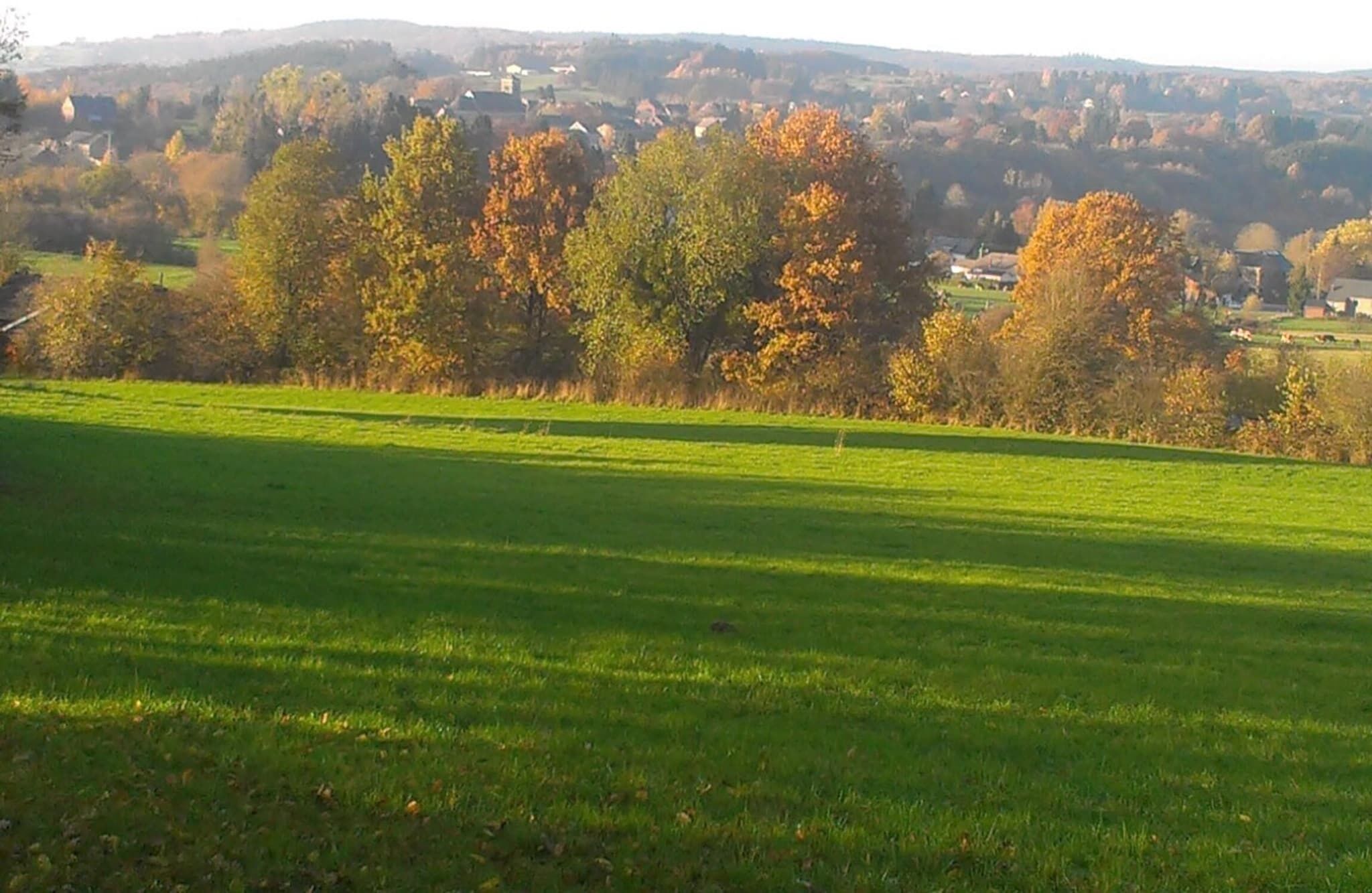 Ein grünes Feld mit Bäumen im Hintergrund.