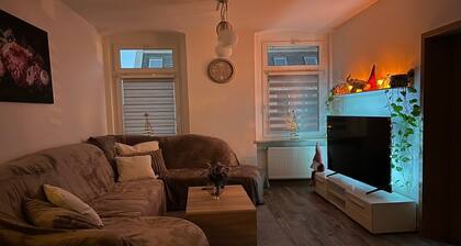 Luftiges City-Apartment in Zwickau